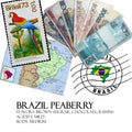 Brazil Peaberry
