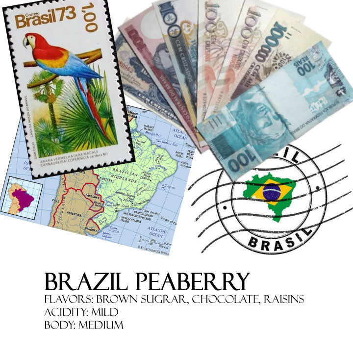 Brazil Peaberry