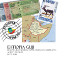 Ethiopia Guji