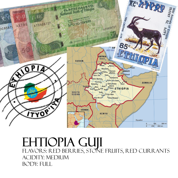 Ethiopia Guji