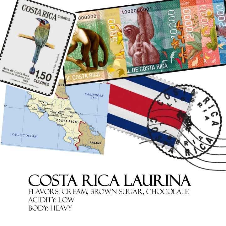 Costa Rica Laurina