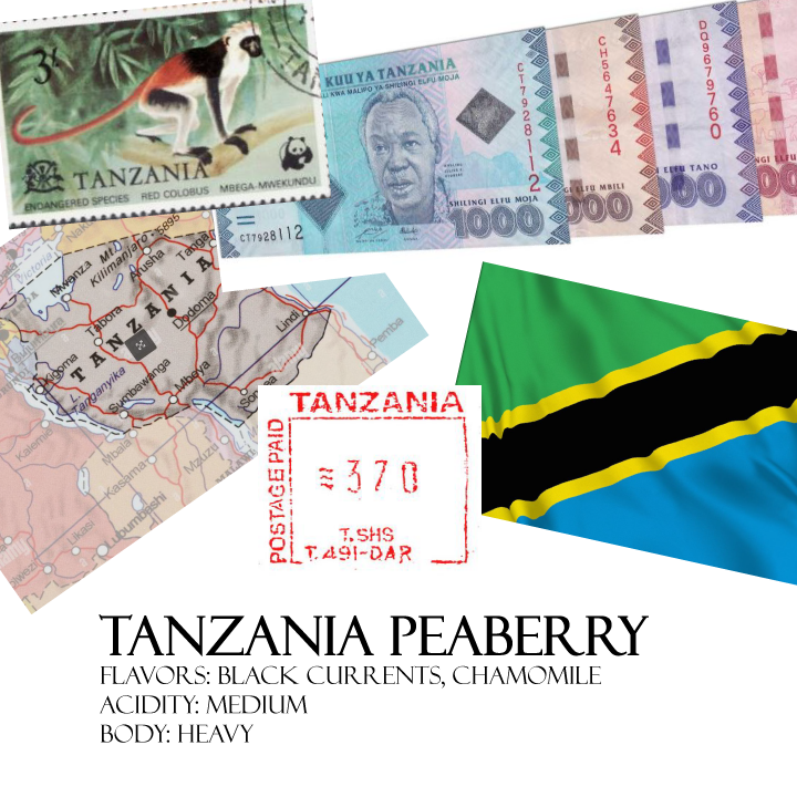 Tanzania Peaberry